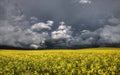 Prairie Storm Clouds