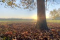 Prairie sunrise