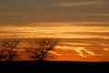 Prairie sunset Royalty Free Stock Photo