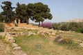 valley of the temples - agrigento - italy Royalty Free Stock Photo