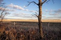 Prairie view as the sun sets in Saskatchewan