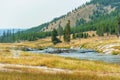 Prairie view of Firehole River with log jam on the Fairy Falls trail