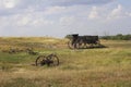 Prairie wagon Royalty Free Stock Photo