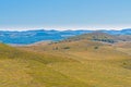 The prairie and White Birch on the hillside Royalty Free Stock Photo