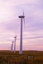 Prairie Windmills Royalty Free Stock Photo