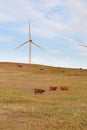 Prairie Windmills Royalty Free Stock Photo