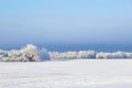 Prairie winter lanscape with frosty trees and blue sky