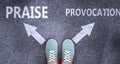 Praise and provocation as different choices in life - pictured as words Praise, provocation on a road to symbolize making decision