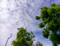 Prajinburi Thailand nature landscape scene blue sky and urban road to the natural feel fresh and attractive to travel in Asia Royalty Free Stock Photo