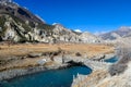 Praken Gompa - Yaks grazing on Himalayan meadow Royalty Free Stock Photo