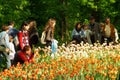 Pralormo, Piedmont, Italy. -04-25-2009- Messer Tulipano gardening exhibition with spring tulips blooming at Pralormo Castle