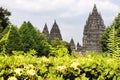 Prambanan temple is the largest hindu temple complex in Indonesi that was built in the 9th Century AD. Royalty Free Stock Photo