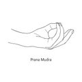 Pran Mudra / Gesture of Life. Vector Royalty Free Stock Photo