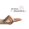 Prana mudra on white Royalty Free Stock Photo