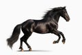 Prancing black purebred horse. Generate ai Royalty Free Stock Photo