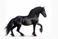 Prancing black regal stallion on white background. Generate ai Royalty Free Stock Photo