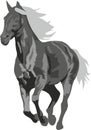 Prancing grey horse Royalty Free Stock Photo