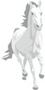 Prancing grey horse Royalty Free Stock Photo