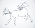 Prancing horse. Vector drawing