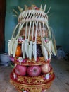 Prani is ready for offerings to God in balinese hindu