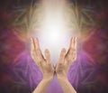 Pranic healer sensing energy Royalty Free Stock Photo