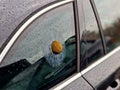 a prank ball shot into a car window and shattered glass in the form of a Royalty Free Stock Photo