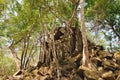 Prasat Beng Mealea in Cambodia Royalty Free Stock Photo