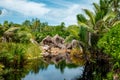 Praslin Seychelles, beach tropical island with palm trees Seychelles Praslin