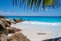 Praslin Seychelles tropical island with withe beaches and palm trees, Anse Lazio beach ,Palm tree stands over deserted Royalty Free Stock Photo