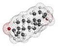 Prasterone dehydroepiandrosterone, DHEA drug molecule. 3D rendering. Atoms are represented as spheres with conventional color.