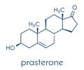 Prasterone dehydroepiandrosterone, DHEA drug molecule. Skeletal formula.