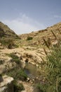 Prat Brook in the Judea Desert, Israel Royalty Free Stock Photo