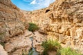 Prat River in Israel. Wadi Qelt valley in the West Bank Royalty Free Stock Photo