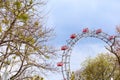 Prater Wheel, Vienna, Austria among spring green trees Royalty Free Stock Photo