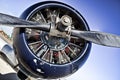 Pratt and Whitney Propeller Royalty Free Stock Photo