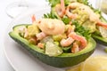 Prawn and Avocado Salad Royalty Free Stock Photo