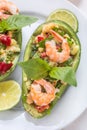 Two Halves of Avocado Cups With Prawn and Avocado Salad Royalty Free Stock Photo