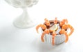Prawn cocktail Royalty Free Stock Photo