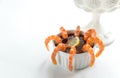 Prawn cocktail Royalty Free Stock Photo
