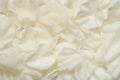 Prawn Crackers Royalty Free Stock Photo