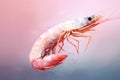 Prawn crustacean sea healthy shrimp raw seafood freshness fresh background food ingredient