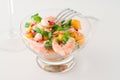 Prawn, cucumber and mango salad Royalty Free Stock Photo