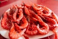 Prawn dish facing up. Species called Red Gamba from Garrucha, Almeria, Andalucia; Spain Royalty Free Stock Photo