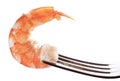 Prawn on fork