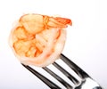 Prawn on a fork Royalty Free Stock Photo