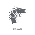 Prawn icon. Trendy Prawn logo concept on white background from a