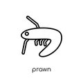 Prawn icon. Trendy modern flat linear vector Prawn icon on white