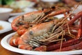 Prawn market, Ayuthya Royalty Free Stock Photo