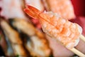 Prawn nigiri on a selection of varied Japanese sushi. Royalty Free Stock Photo