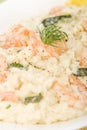 Prawn Risotto Bianco Royalty Free Stock Photo